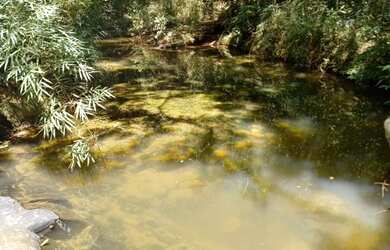 Imagem: A chácara possui 1.000m² de Área e está localizado em Jardim