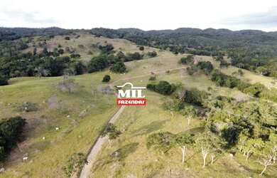 Imagem: A fazenda está localizado em Santa Cruz de Goiás, GO à venda