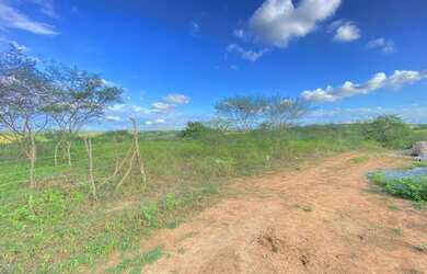 Imagem: A fazenda está localizado em Governador João Durval Carneiro