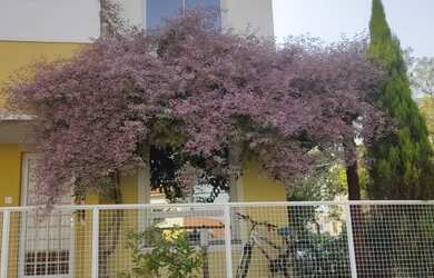 Imagem: A casa possui 3 Dormitórios, 3 Banheiros, 2 Vagas na garagem