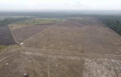 Imagem: A fazenda possui 310000-0m² de Área e está localizado em