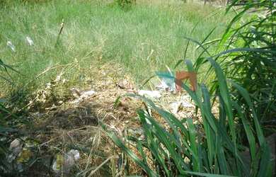 Imagem 1: Rio de Janeiro - Terreno Padrão - Recreio dos Bandeirantes