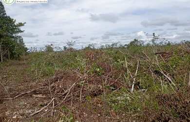Imagem 8: FAZENDA À VENDA NO VALE DO ARAGUAIA - TO - 1.186 HECTARES (DUPLA APTIDÃO