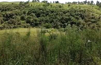 Imagem: A chácara possui 15.000m² de Área e está localizado em