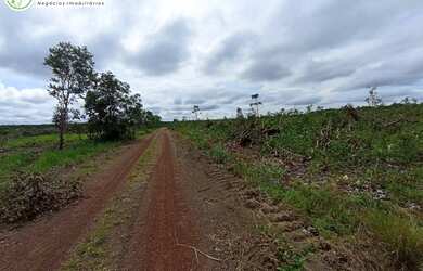 Imagem 12: FAZENDA À VENDA NO VALE DO ARAGUAIA - TO - 1.186 HECTARES (DUPLA APTIDÃO