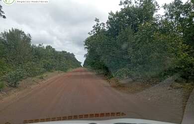 Imagem 9: FAZENDA À VENDA NO VALE DO ARAGUAIA - TO - 1.186 HECTARES (DUPLA APTIDÃO