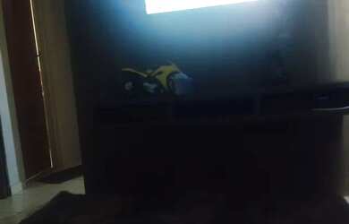 Imagem: O quarto e está localizado em Santo André, Anápolis para