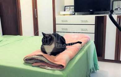 Imagem 4: Apartamento para venda tem 85 metros quadrados com 3 quartos em Copacabana...