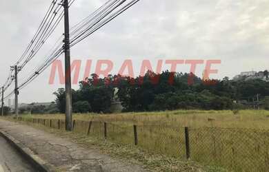 Imagem 2: Terreno em Jardim Boa Vista