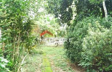Imagem 2: Chácara em Rua das Palmeiras - Jardim Pinheirinho - Embu das Artes/SP