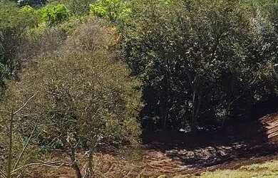 Imagem 6: Chácara de 21 mil metros por apenas 15 reais o metro