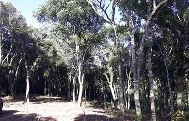 Imagem 8: Área de terras com vista deslumbrante para o vale e montanhas. Linha...