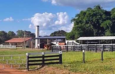 Imagem: A fazenda está localizado em Uberlândia, MG à venda por