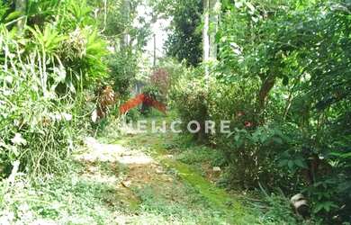 Imagem 3: Chácara em Rua das Palmeiras - Jardim Pinheirinho - Embu das Artes/SP