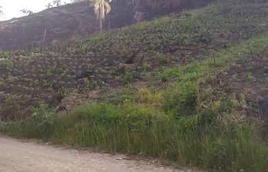 Imagem 6: Chácara Almirante Tamandaré 21.000m², 16Km de Curitiba, luz, 2km asfalto