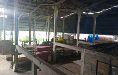 Imagem 3: Rio de Janeiro - Galpão/Depósito/Armazém - Recreio dos Bandeirantes