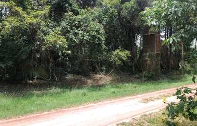 Imagem 1: Vendo terreno. 