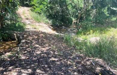 Imagem 11: Fazenda com 22 hectares Santana do Mundaú