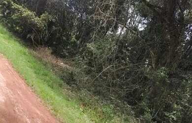 Imagem 3: Vendo terreno. 