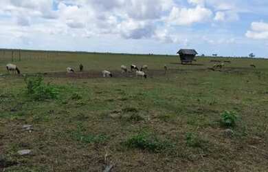 Imagem: A fazenda possui 5.420.800m² de Área e está localizado em