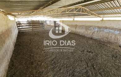 Imagem 13: Fazenda para Venda em Curvelo, Área Rural de Curvelo, 3 dormitórios,...