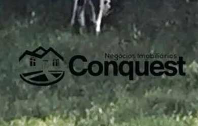 Imagem 11: Fazendinha 15 Hectares - Caetano José - Bonfim - MG