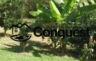 Imagem 3: Fazendinha 15 Hectares - Caetano José - Bonfim - MG