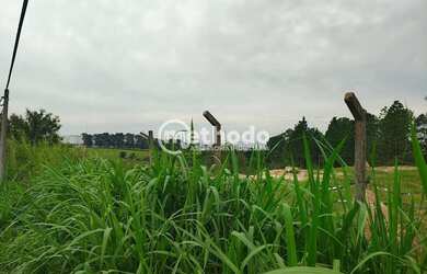 Imagem 16: Terreno à venda, Chácara Monte Alegre, Sumaré, SP