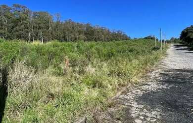 Imagem 9: CAXIAS DO SUL - Terreno Padrão - NOSSA SENHORA DA SAÚDE