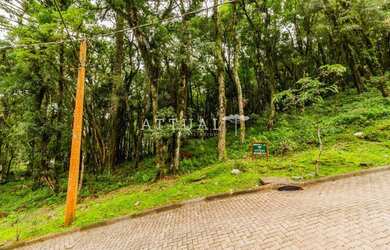 Imagem 3: TERRENO CONDOMÍNIO PINHEIRO GROSSO