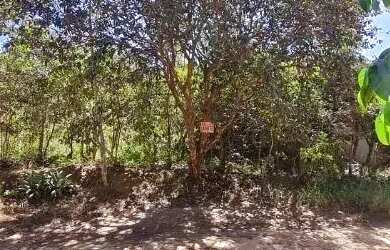 Imagem: O terreno possui 639m² de Área e está localizado em Alto