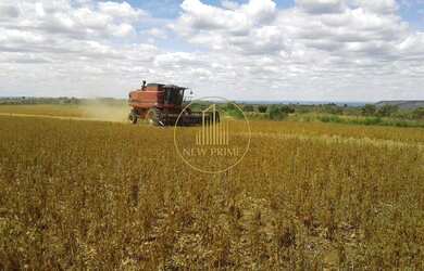 Imagem 5: Fazenda à Venda Unaí/MG 472 ha