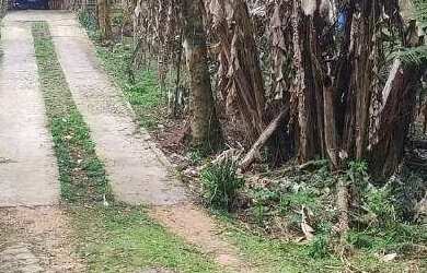 Imagem: A fazenda possui 60m² de Área e está localizado em Borda