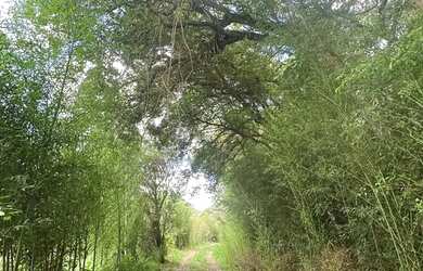 Imagem: O terreno possui 1000m² de Área e está localizado em Ibiúna