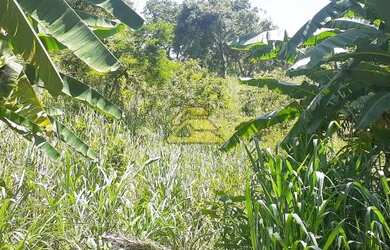 Imagem 15: Rio de Janeiro - Terreno Padrão - Freguesia Jacarepaguá