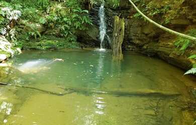 Imagem: O terreno e possui Dormitórios, Suítes, Banheiros está