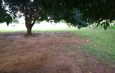 Imagem 7: Area na comunidade Barra do Bom Jardim/ Lago do Manso