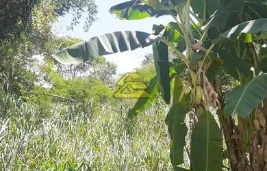 Imagem 7: Rio de Janeiro - Terreno Padrão - Freguesia Jacarepaguá