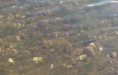 Imagem: A fazenda e está localizado em Chapada Dos Guimarães, MT à