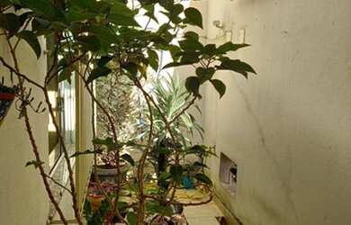 Imagem: A casa possui 3 Dormitórios, 2 Banheiros, 1 Vaga na garagem