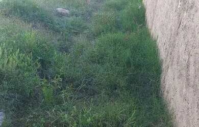 Imagem 2: Terreno 10x25. 250m² de Área