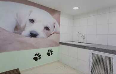 Imagem 16: Apartamento padrão para aluguel Freguesia São Paulo - 37