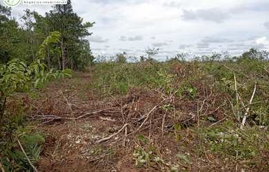 Imagem 15: FAZENDA À VENDA NO VALE DO ARAGUAIA - TO - 1.186 HECTARES (DUPLA APTIDÃO
