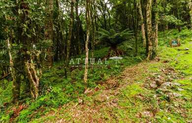 Imagem 4: TERRENO CONDOMÍNIO PINHEIRO GROSSO