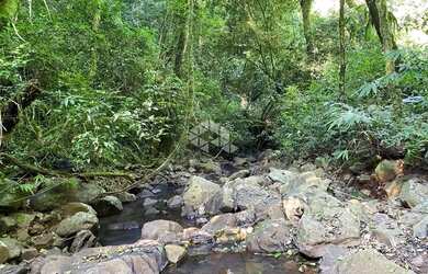 Imagem 12: Chácara com vista e riacho na Serra Gaúcha