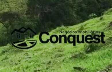 Imagem 14: Fazendinha 15 Hectares - Caetano José - Bonfim - MG