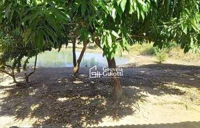 Imagem 16: Chácara à venda em Abadiânia - GO Riquíssima em água