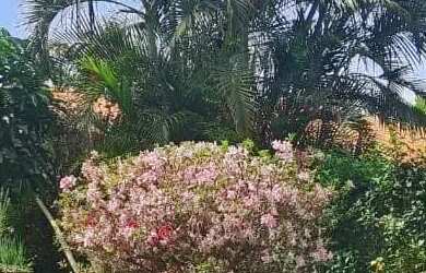 Imagem 4: Casa à venda, Jardim Imperial, Atibaia, SP