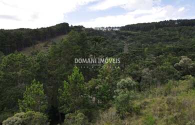 Imagem 2: Belo Terreno à Venda na Região do Alto da Boa Vista - Campos do Jordão/SP