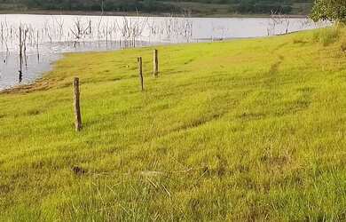 Imagem 3: Area na comunidade Barra do Bom Jardim/ Lago do Manso